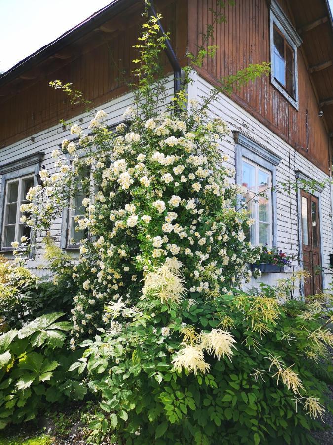 Disponentparken Cafe Och Bed & Breakfast Grängesberg Exterior foto