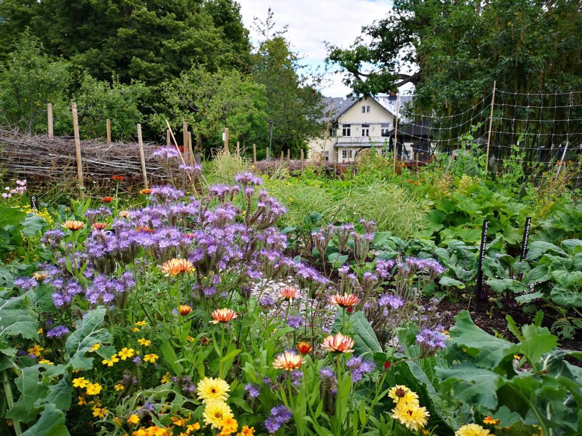 Disponentparken Cafe Och Bed & Breakfast Grängesberg Exterior foto